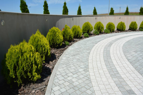 Best Professional Driveway Pavers  in Castleton On Hudson, NY